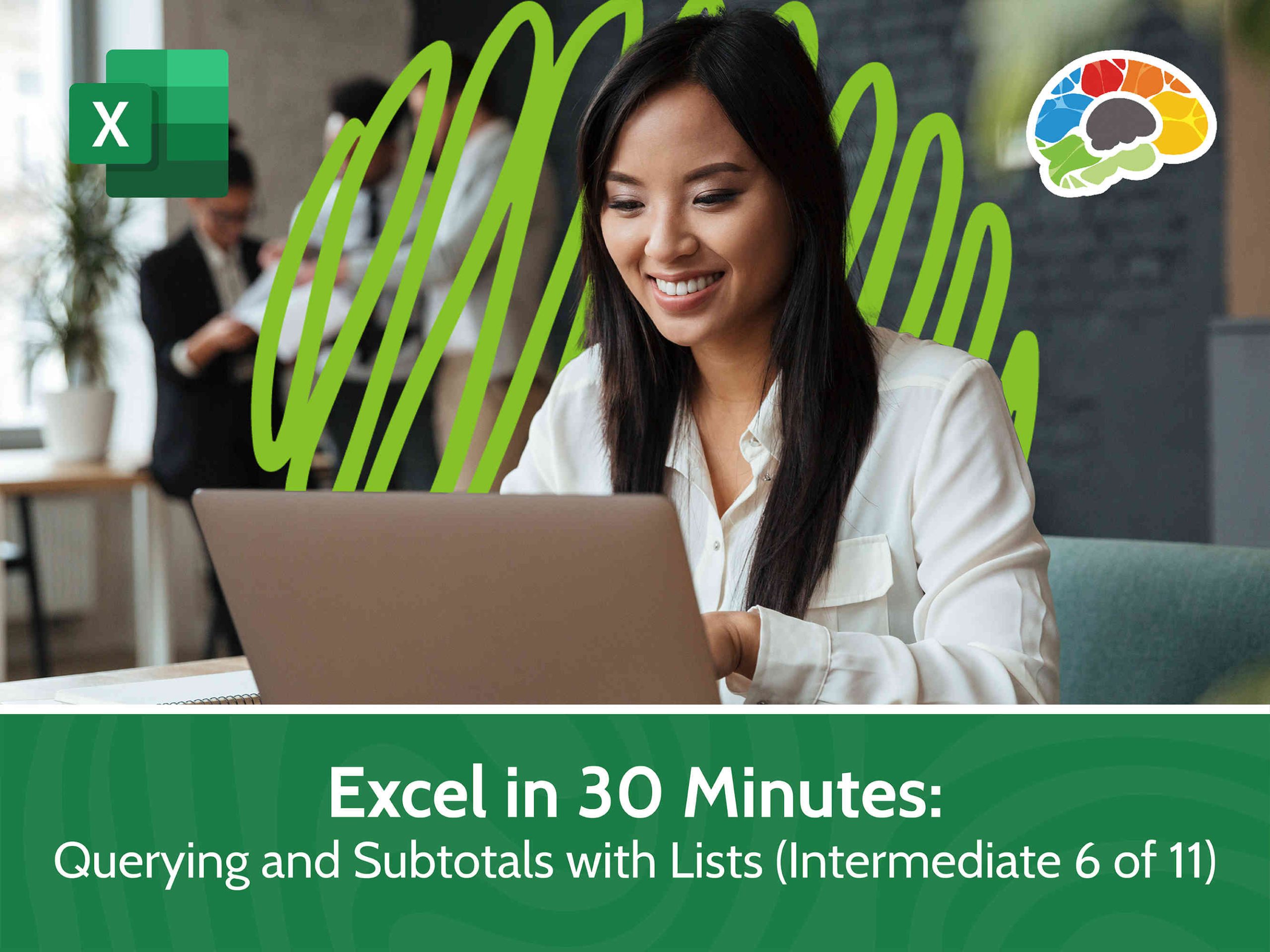 Part 6:  Excel in 30 Minutes – Intermediate – Querying and Subtotals with Lists