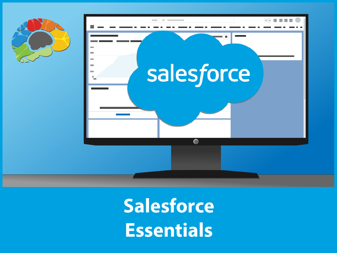 Salesforce Essentials